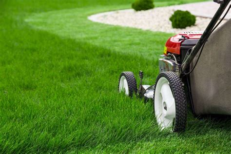 floratum|Floratam Grass Care: How To Water, Mow, And Fertilize This St.
